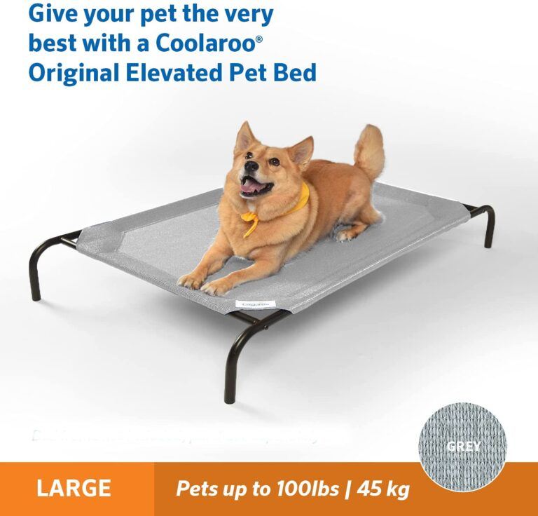 Elevated Dog Beds