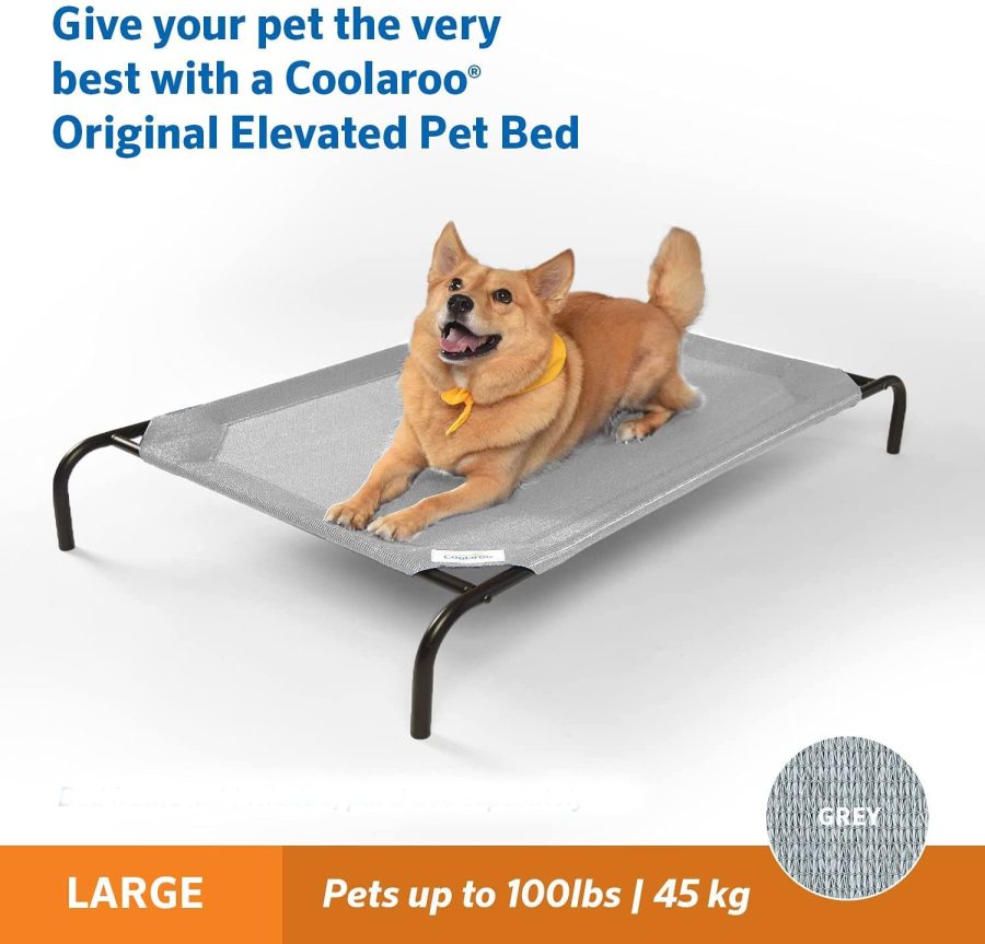 Elevated Dog Beds