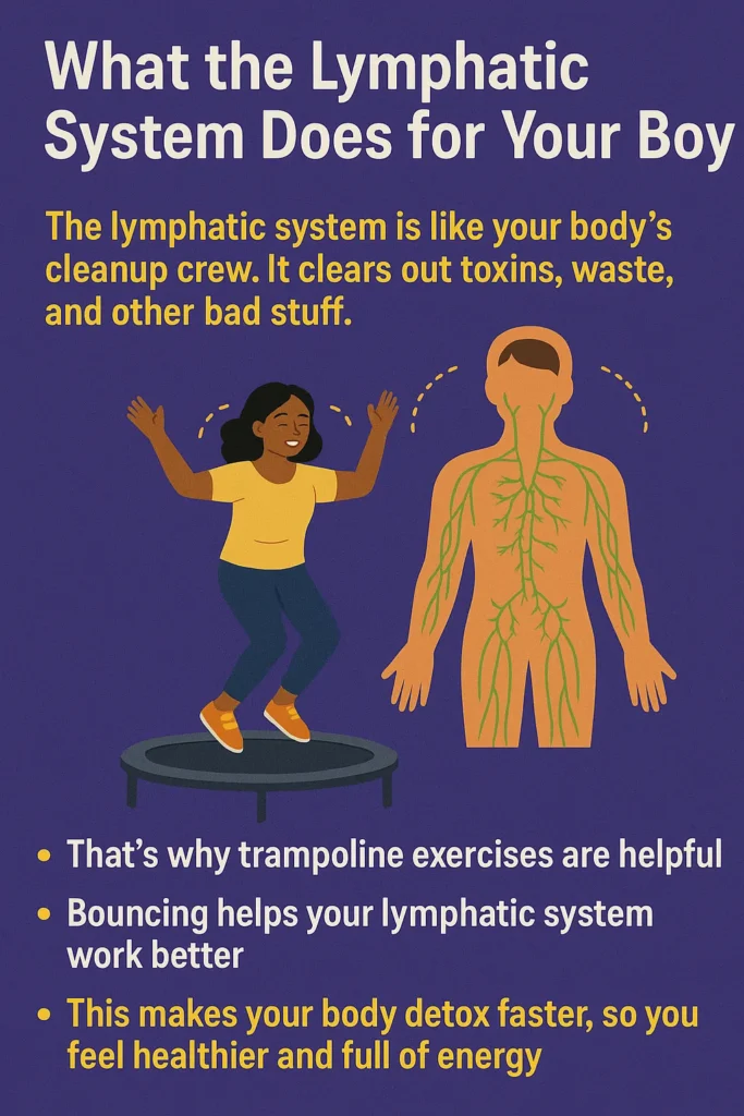What the Lymphatic System Does for Your Body