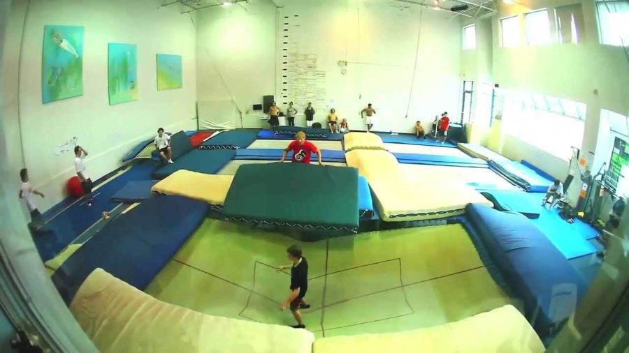 How Many Trampoline Parks are There in the World