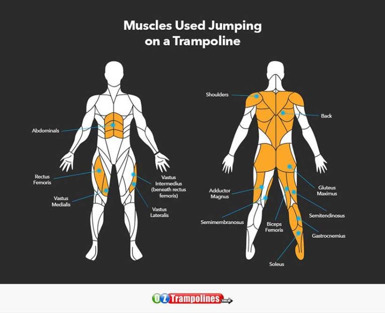What Does a Trampoline Do for Your Body